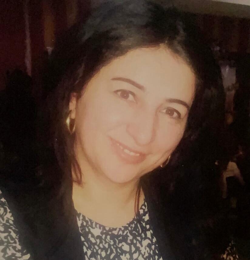 Bizim günlərin zarisovkası – Hicran Hüseynova