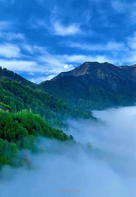 Azərbaycan – Cavid Fərzəli